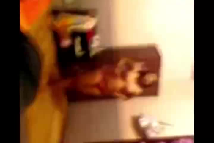 Video Abg Di Kamar Gang Dolly