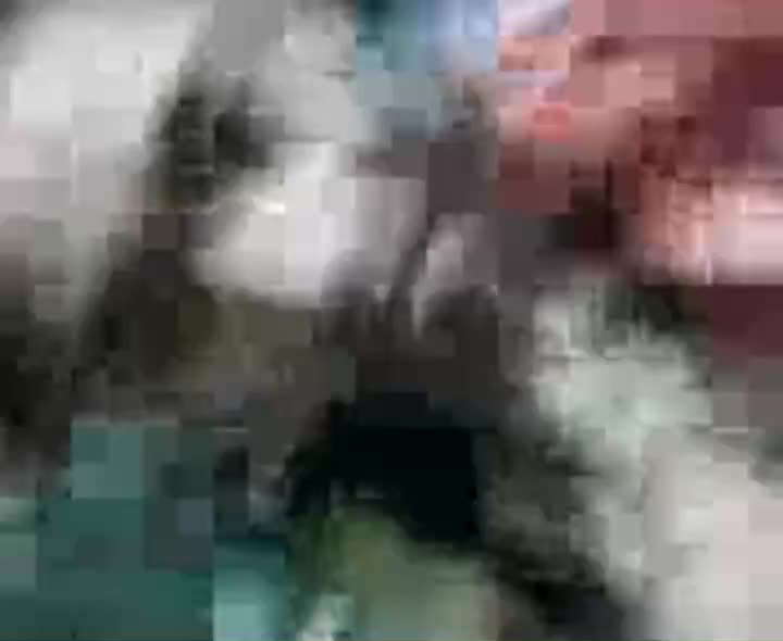 Video Janda Belajar Cam Bugil